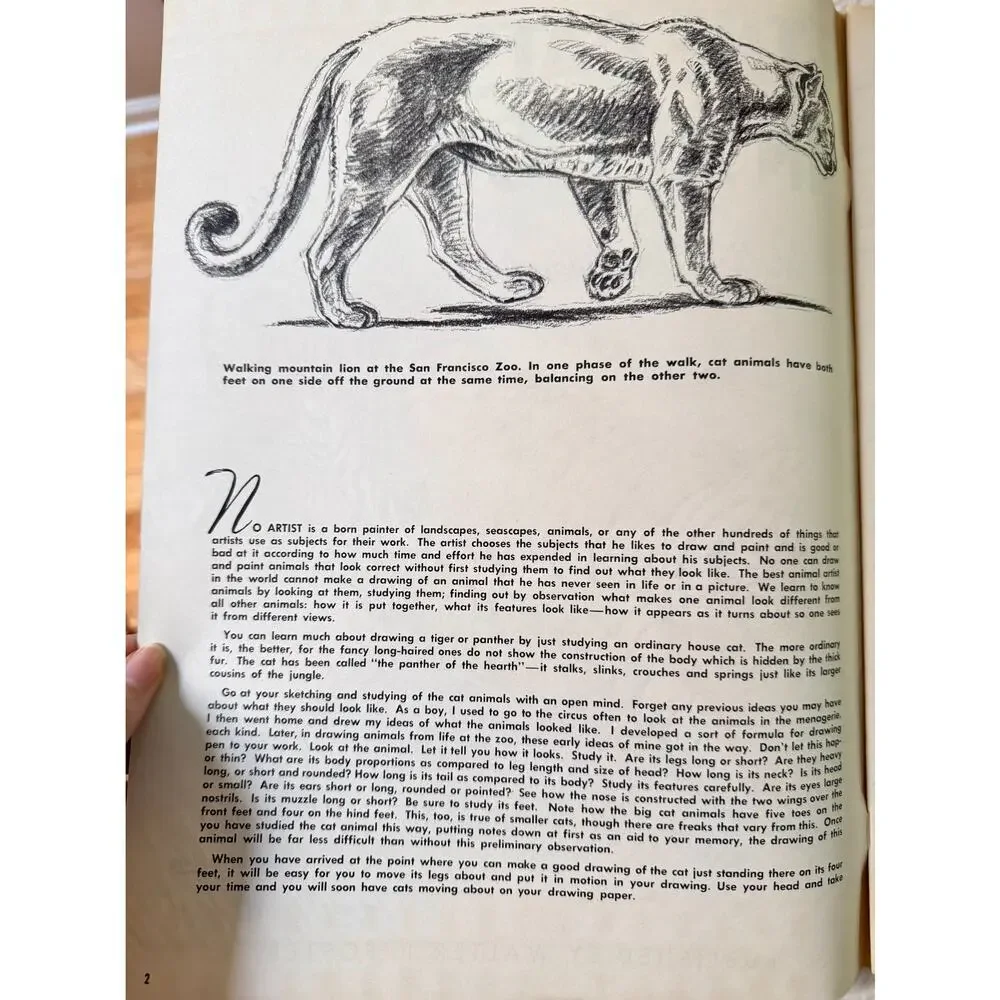 The Cats In Action by Walter J. Wilwerding Walter T. Foster Art Books #70